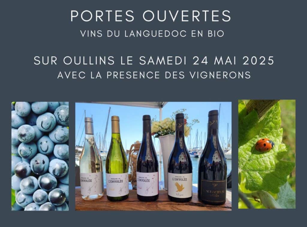portes ouvertes domaine viticole Pézenas